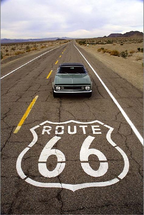 . Road 66, Vintage Road Trip, American Wallpaper, Route 66 Sign, Ford Mustang 1967, 66 Mustang, Hot Wheels Garage, Route 66 Road Trip, Road Trip Routes