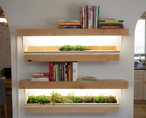 I added some bookshelves/grow lights to my indoor planter boxes Indoor Planter Box, Succulent Projects, Planter Box Plans, Indoor Grow Lights, Indoor Vegetables, Nyc Apt, Diy Planter Box, Aquaponics System, Indoor Herb Garden