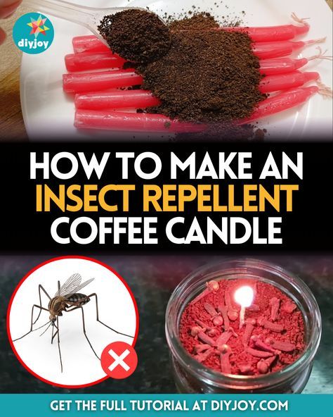 Diy Insect Repellent, Diy Mosquito Repellent Candle, Bug Repellent Candles, Diy Coffee Candle, Wine Bottle Tiki, Mosquito Repellent Candle, Wine Bottle Tiki Torch, Diy Mosquito Repellent, Candle Tutorial