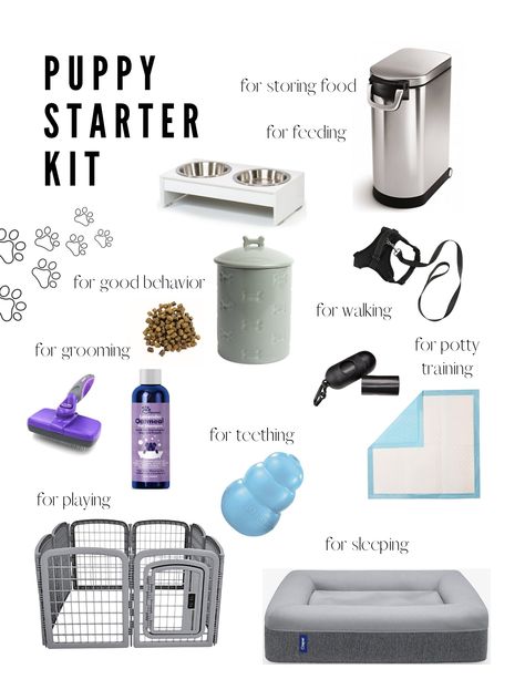 This saved me when I brought my Goldendoodle puppy home! Click on the image to shop! Dog Starter Kit List, Puppy Go Home Bag Ideas, Puppy Necessities, Puppy Must Haves, Puppy Essentials, Dog Room Design, Puppy Starter Kit, Puppy Items, Pet Wipes