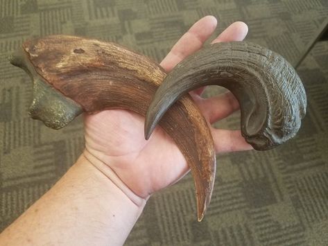 The Utahraptor claw, compared with a velociraptor claw.Jim Kirkland Dinosaurs Names And Pictures, Carving Wood Ideas, Dinosaurs Names, Velociraptor Claw, Jurassic Park Aesthetic, Raptor Claw, Crocodile Species, Dinosaur Rawr, Ground Sloth