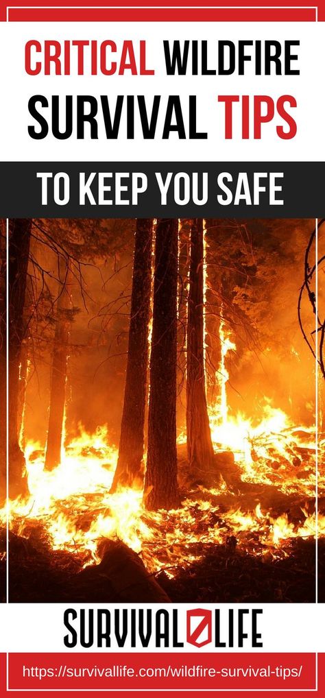 Civil Unrest Survival, How To Survive In The Wild, Emp Survival Checklist, Wildfire Evacuation, Communication Plan, Family Emergency Plan Natural Disasters, Survival Fire, Family Communication, Evacuation Plan