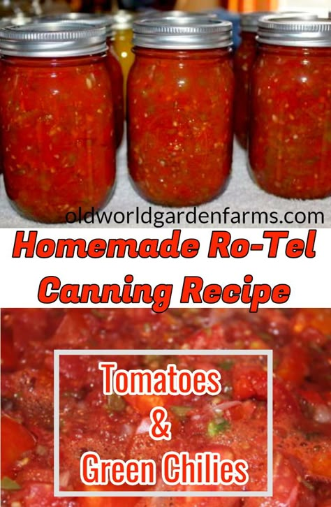 Homemade Canned Rotel, Diy Rotel Canning, Canning Rotel Tomatoes Recipes For, Rotel For Canning, Rotel Recipe For Canning, Canning Tomatoes For Chili, Homemade Rotel Canning, Canning Rotel Recipe, Tomato Canning Ideas