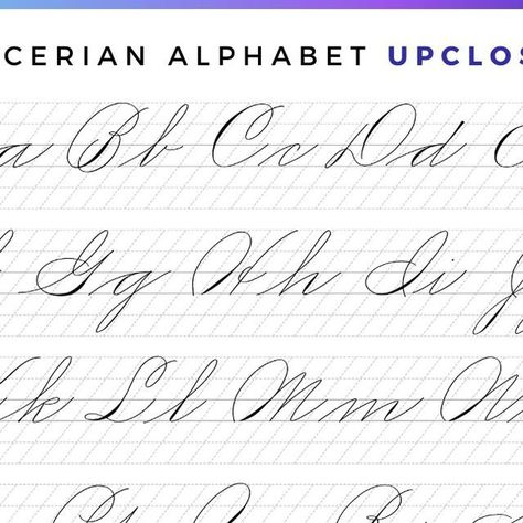 Jillian & Jordan | Calligraphy and iPad Lettering on Instagram: "Does this alphabet look different to you?? (save for later) ⁠
⁠
This is the Spencerian alphabet. You're probably more familiar with the Copperplate alphabet, so let's compare them. ⁠
⁠
👉 To read our entire Spencerian Script Guide, comment 🌟 SSG 🌟 ⁠
⁠
We'll automatically send a link to your DMs! ⁠
⁠
The Spencerian script is...⁠
✨ M. #ScriptFonts #HandwrittenType #CalligraphyInspiration #TypographyLove #FontObsessed Spencerian Script Alphabet, Spencerian Alphabet, Copperplate Alphabet, Spencerian Script, Best Free Script Fonts, Handwritten Type, Script Alphabet, Calligraphy I, Calligraphy For Beginners