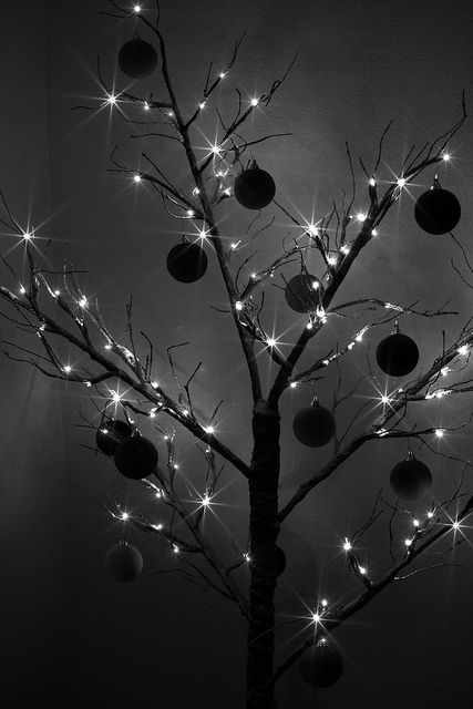 Christmas Silhouette by Heaven`s Gate (John), via Flickr Fireplace Tv Wall Decor, Christmas Silhouette, Room 2023, Fireplace Tv Wall, Tv Wall Decor, Birmingham England, Sparkle, Christmas Tree, Black And White