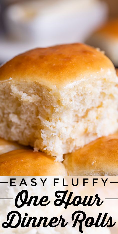 Easy Fluffy One Hour Dinner Rolls from The Food Charlatan. Super easy, fluffy dinner rolls done in ONE hour! And no instant yeast necessary, regular active dry yeast is what I use. These rolls are soft and pillowy and full of buttery flavor! This is my favorite recipe to make for dinner on a weeknight because it is so easy to put together! #rolls #dinnerrolls #easy #recipe #onehour #fromscratch #homemade #quick #1hour #soft #butter #fast #smallbatch #fluffy #yeast #howtomake #stepbystep #simple One Hour Dinner Rolls, Garlic Knots Recipe, Fluffy Dinner Rolls, Cinnamon Honey Butter, The Food Charlatan, Active Dry Yeast, Food Charlatan, Baking Fun, Country Cook