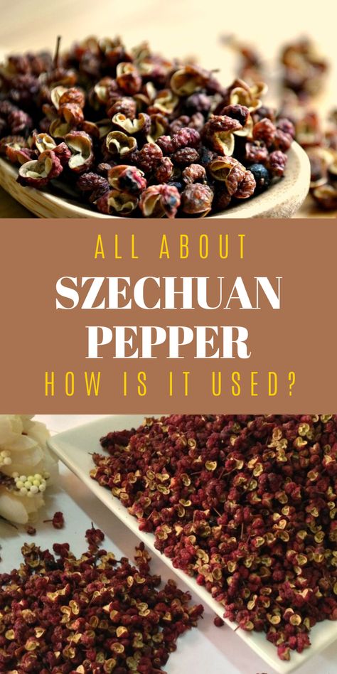 Sichuan Pepper Recipes, Szechuan Peppercorn, Pepper Benefits, Pepper Recipes, Pepper Tree, Sichuan Peppercorn, Sichuan Pepper, Homemade Spices, Flavored Oils