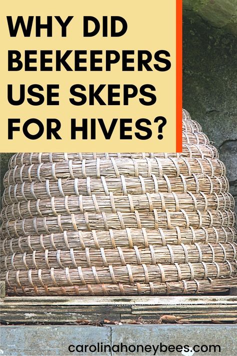 Natural Bee Keeping, Diy Bee Skep, Beekeeping Diy, Painted Bee Hives, Bee Equipment, Honey Bee Facts, Harvesting Honey, Bee Skeps, Beehive Design