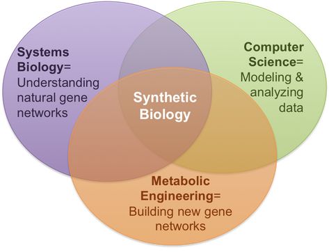 Synthetic biology promises a greener future Professional Development Activities, Synthetic Biology, Disruptive Technology, Data Network, Research Writing, Development Activities, Science Biology, Nanotechnology, Computer System