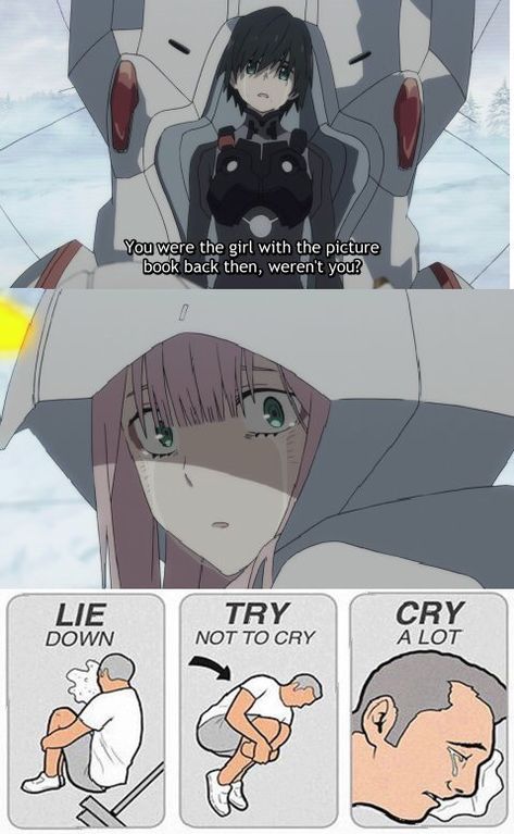 (Darling in the Franxx)I’m not cry man😭 A Silent Voice Anime, Anime Jokes, Zero Two, Anime Memes Funny, Darling In The Franxx, Hyena, Anime Quotes, Cute Cartoon Wallpapers, A Group