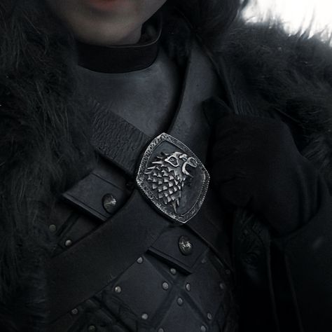 Rob Stark Aesthetic, Cregan Stark Aesthetic, House Stark Art, House Stark Aesthetic, Winterfell Aesthetic, Sara Snow, Got Aesthetic, Westeros Aesthetic, Arya Stark Aesthetic