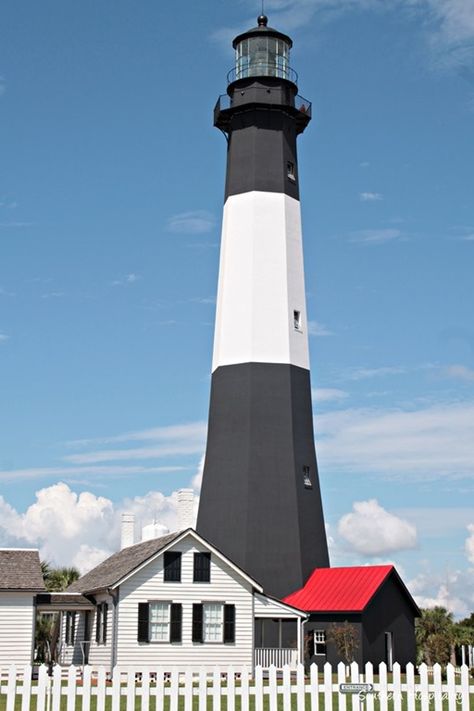 Nautical Architecture, Tybee Island Lighthouse, Northern Georgia, Lighthouse Drawing, Lighthouse Pictures, Lighthouse Painting, Beautiful Lighthouse, Tybee Island, Southern Hospitality