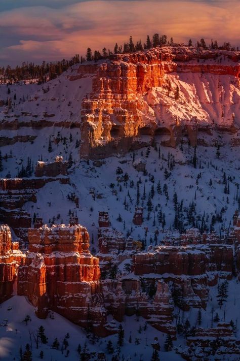 This has been a wonderful winter season at Bryce and there’s still plenty left. We can never get enough of these views especially when capped with snow. - Check our website to learn: https://utahguide.com/national-parks/bryce-canyon/ - #BryceCanyon #UtahNationalParks #ExploreUtah #ScenicViews #NatureLovers #TravelUSA #Wanderlust #HikingAdventures #NationalParksUSA #TravelPhotography Desert Creatures, Bryce National Park, Visit Utah, Bryce Canyon National Park, National Parks Usa, Utah National Parks, G Adventures, Bryce Canyon, Red Rock