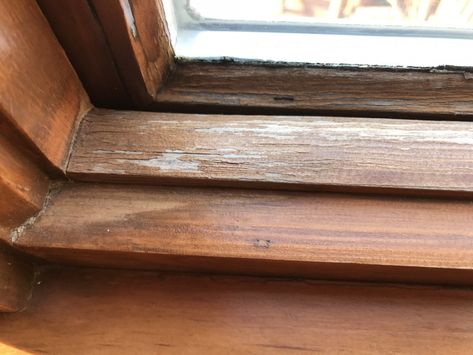 Refinishing Interior Windows - Lake Area Painting & Decorating, St. Paul, MN Refinish Window Sill, Refinishing Wood Trim, Painting Window Sills Interiors, Wood Window Trim, Wooden Window Sill, Wood Window Sill, Window Makeover, Old Wood Windows, Craftsman Window