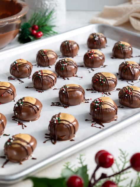 These buckeyes have the perfect balance of salty and sweet! They're made with soft peanut butter centers that are dipped in chocolate. Christmas Dessert Gift Box Ideas, Christmas Buckeyes, Cookie Butter Buckeyes, Easy Buckeyes Recipe With Pretzels, Peanut Butter Balls Dipped In Chocolate, Easy Christmas Chocolate Peanut Butter Balls, 12 Cookie Recipe, Christmas Tins Treats, Christmas Bites