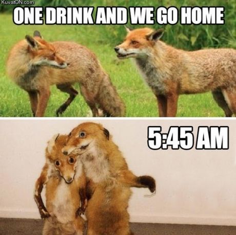 20 Friday Night Memes That’ll End Your Hard Week On A High Note #fridaynightmemes  #memes #funnymemes #humor #funny #sayingimages Kind Meme, Funny Drinking Memes, Friday Night Meme, Drinking Memes, Humor Inappropriate, Drinking Buddies, Joke Of The Day, Drinking Humor, Memes Br