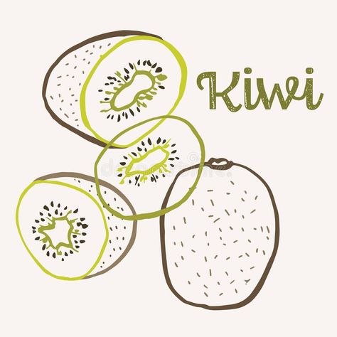 Kiwi Line Art, Kiwi Fruit Drawing, Kiwi Drawing, Kiwi Illustration, Fruit Line Art, Kiwi Tattoo, Fruit Logo Design Ideas, Colorful Line Art, Fruit Logo Design