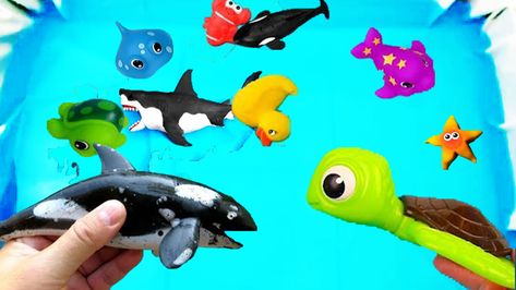 #learncolors #wildanimals #sharksforkids #seaanimals #forkids Learn Colors With Sea Wild Animals and Animal Names | Pool Water Colors For Kids | Kids Video P34 Education Video, Colors For Kids, Sharks For Kids, Animal Names, Surprise Toys, Kids Video, Kids Watercolor, Learn Colors, Pool Water