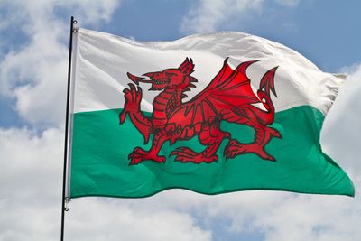 Y Ddraig Goch: The Story of the Welsh Red Dragon Pt 1 Y Ddraig Goch, Battle Standard, Flag Aesthetic, 6 Nations, The Red Dragon, Wales Flag, Celtic Nations, Welsh Flag, Welsh Language