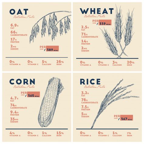 Health benefits of cereals, rice, wheat, oat and corn . Premium Vector | Premium Vector #Freepik #vector #background #infographic #food #icon Corn Infographic, Rice Infographic, Nature Infographic, Corn Nutrition Facts, Introducing Baby Food, Rice Nutrition Facts, Infographic Food, Green Template, Benefits Of Rice