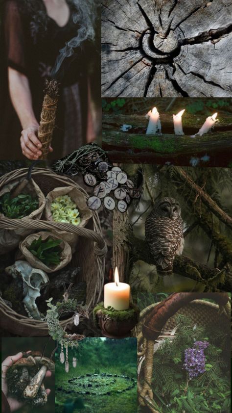 Green witch Forest Witch Altar, Soft Witchcore Aesthetic, Witchy Earthy Aesthetic, Green Witch Aesthetic Nature, Green Witch Wallpaper, Spring Witch Aesthetic, Earthy Witch Aesthetic, Earth Witch Aesthetic, Swamp Witch Aesthetic