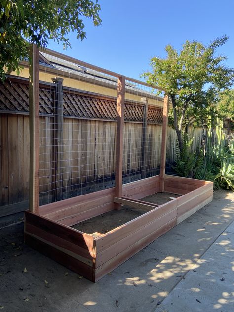 12' Garden box with trellis Garden Box With Trellis, Raised Garden Bed Fence, Garden Bed Fence, Elevated Raised Garden Beds, Raised Garden Beds Ideas, Garden Beds Ideas, Cheap Garden Beds, Garden Bed With Trellis, Cheap Raised Garden Beds