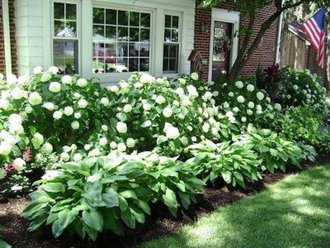 Large Yard Landscaping, Front Of A House, Hydrangea Landscaping, Shade Garden Design, Front Yard Design, Landscaping Garden, Front Landscaping, Have Inspiration, Front Yard Garden