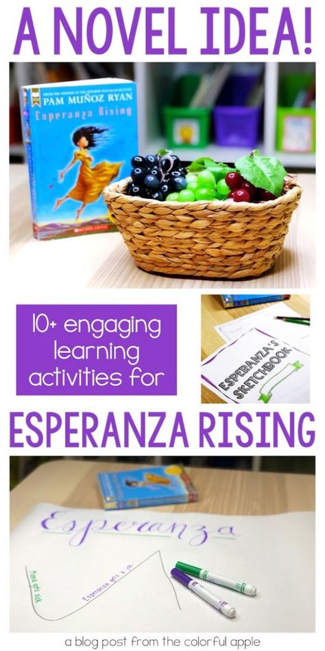 Esperanza Rising Activities, Spanish Novels, Reading Engagement Strategies, Classroom Necessities, Book Study Activities, Reading Interventionist, Esperanza Rising, 5th Grade Ela, 5th Grade Reading