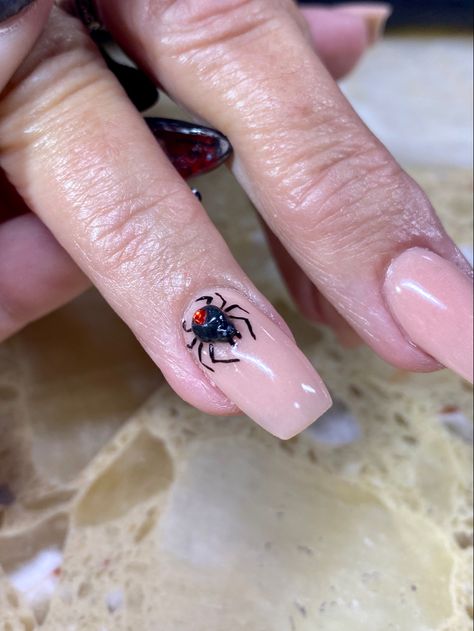 Black Widow Nail Art, Black Widow Nails, Spider Nails, 3d Spider, Black Widow Spider, Nails Halloween, Junk Drawer, Black Widow, Halloween Nails