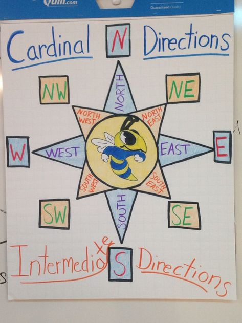 3rd Grade Cardinal Directions Anchor Chart! Feelin' artsy! Fudged a bit on Intermediate but looks cute anyway! 2nd Grade Geography, Social Studies Maps, Third Grade Social Studies, Animals Jokes, Kindergarten Anchor Charts, 3rd Grade Social Studies, Social Studies Education, Social Studies Notebook, Cardinal Directions