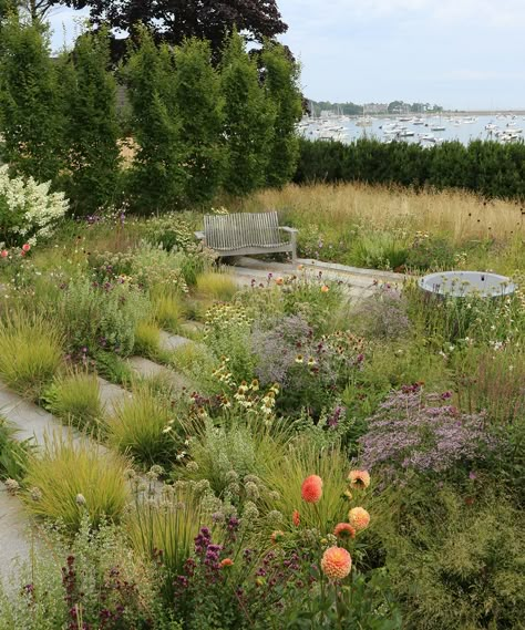 Naturalistic Garden, Prairie Garden, Medicinal Garden, Meadow Garden, Dry Garden, Wild Garden, Planting Plan, Gravel Garden, Planting Design