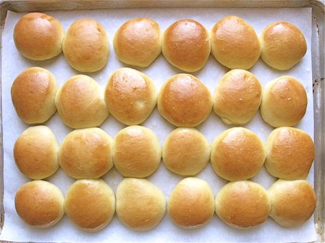 Homemade Slider Buns, Homemade Sliders, Mini Burger Buns, Slider Rolls, Mini Bun, Mini Sliders, Vegetarian Barbecue, Baking Buns, Homemade Rolls