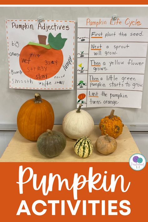 Third Grade Pumpkin Activities, Pumpkin Taste Test Kindergarten, From Seed To Pumpkin Activities, Pumpkin Science 1st Grade, Pumpkin Life Cycle Lesson Plan, Pumpkin Ideas Kindergarten, Pumpkin Activities Grade 2, Pumpkin Activity First Grade, Pumpkin Carving Activities