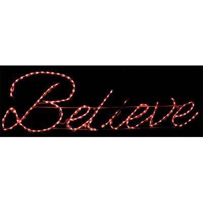 Brite Ideas Believe Sign LED Light Christmas Tree Yard Art, Christmas Mailbox Decorations, Christmas Tree Yard, Spiral Christmas Tree, Outdoor Nativity Scene, Believe Sign, Led Christmas Tree Lights, Outdoor Nativity, Star String Lights