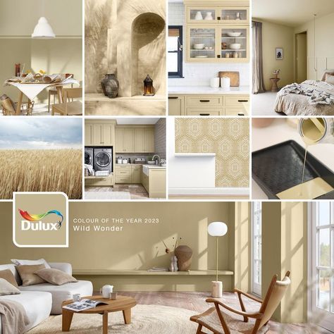 Dulux Wild Wonder, Deco 2023, Beach Cottage Kitchen, Pallet Room, 2023 Moodboard, Wild Wonder, Kitchen 2024, Dulux Paint, Colour Combos