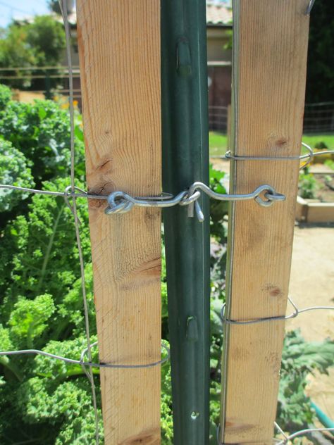 Inexpensive Garden Fencing Ideas, Galvanized Wire Fence Ideas, T Post Fence With Gate, Easy Garden Fencing Diy, Small Diy Fence, Chicken Fence Diy, Diy Gate For Fence, Easy Gate Ideas, Easy Gate Diy