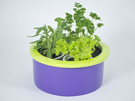 Grow Floats Hydroponics.  Grow fresh, organic herbs and vegetables at home on your kitchen counter top using a new system of hydroponics. Home Hydroponics, Home Remedies For Snoring, Organic Insecticide, Hydroponic Farming, Hydroponics Diy, Hydroponic Growing, Hydroponic Plants, Kitchen Counter Top, Plant Nutrients