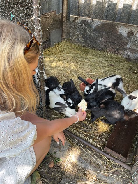 Bunny farm, aesthetic rabbit farm, cute bunny inspo pic, pinterest bunnies, feeding rabbits aesthetic, farm pic inspo Bunny Farm Aesthetic, Pet Rabbit Aesthetic, Petting Zoo Farm Aesthetic, Animal Farm Aesthetic, Rabbits Aesthetic, Farm Bunnies, Farmer Aesthetic, Farming Aesthetic, Aesthetic Rabbit