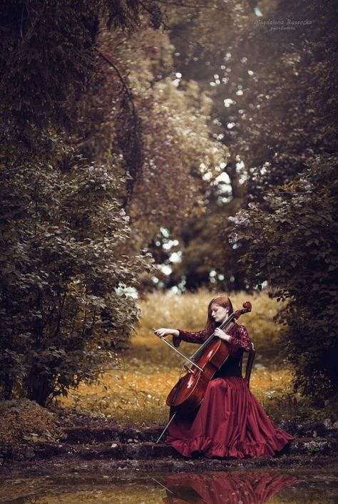 Cello Photoshoot, Orchestra Photography, Cello Photo, Cello Art, Cello Photography, Fairy Music, Violin Photography, Live Photography, Musician Photography