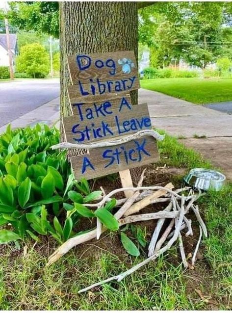 Dog Library, Bow Wow, A Stick, Dog Quotes, Dog Life, Dog Adoption, Puppy Love, Good News, Cute Dogs