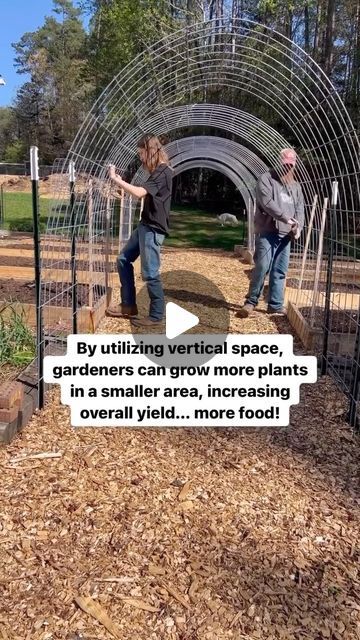 Amber Benge 🌻 Grace Walk Farm on Instagram: "Sign up for Garden School this week for half off! You’ll learn how to grow food for your family step-by-step from healthy soil to big harvests. Comment GROW FOOD for a link! 

Here’s why I love vertical gardening…

Space Efficiency: Vertical gardening maximizes space, making it ideal for small yards or balconies where horizontal space is limited.

Improved Yield: By using vertical space, gardeners can grow more plants in a smaller area, increasing overall yield and productivity.

It’s Beautiful! Vertical gardens can be visually appealing, creating a unique and attractive landscape that adds beauty to outdoor spaces.

Reduced Pest Issues: Elevating plants can help minimize contact with soil-borne pests, reducing the risk of infestations and maki Wind Garden, Garden School, Cattle Panels, Urban Homestead, Healthy Soil, Space Efficiency, Small Yards, Living Fence, Grow Food