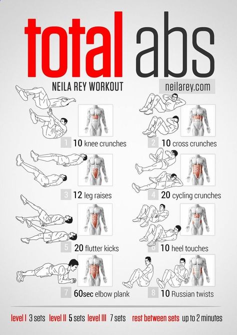 Total Abs Workout (lower abs, upper abs, obliques, rectus abdominal) — Knee crunches, Cross crunches, Leg raises, Cycling crunches, Flutter kicks, Heel touches, Elbow plank, Russian twists Neila Rey Workout, Neila Rey, Total Ab Workout, Total Abs, Sixpack Workout, Upper Abs, Purposeful Life, Fitness Plan, Exercise Routines