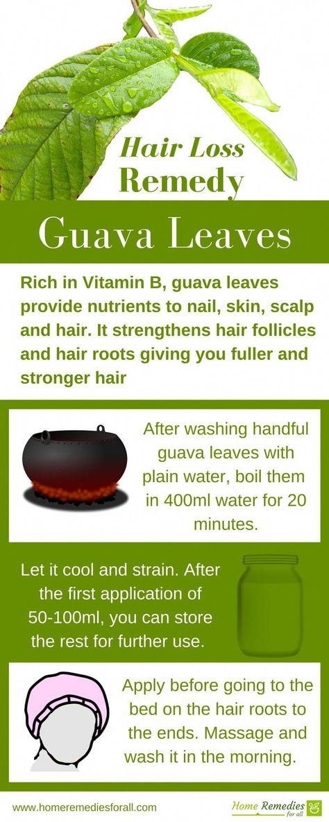 Guava leaves are very effective home remedy to stop hair loss and to regrow lost hair. #hairlossremedywomen Guava Leaves For Hair, Regrow Lost Hair, Guava Leaves, Regrow Hair, Lost Hair, Hair Remedies, Thinning Hair, Roots Hair, Strong Hair