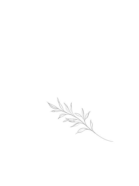 Fine Line Tattoos For Women Wrist, Sage Tattoo Simple, Small New Zealand Tattoo, Olive Fine Line Tattoo, Fineline Leaf Tattoo, Fineline Vine Tattoos, Olive Vine Tattoos For Women, Dainty Fineline Tattoos, Dainty Leaves Tattoo