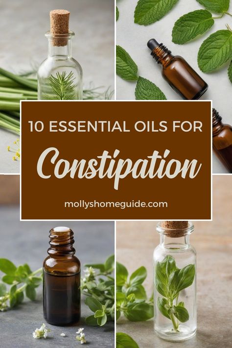 Explore the world of essential oils for constipation relief with our helpful tips and DIY recipes. From coconut oil for constipation to abdominal massage techniques, discover natural ways to support a healthier gut. Learn about the best essential oils for digestion and constipation, including blends perfect for relieving toddler's discomforts. Say goodbye to tummy troubles and let the miracle poop fairy guide you on your journey to improved digestive health. Try incorporating essential oils into Essential Oils For Constipation Relief, Coconut Oil For Constipation, Severe Constipation Relief Immediate, Foods For Constipation Relief, Recipes For Constipation, Relieve Constipation Instantly, Essential Oils For Constipation, Natural Remedies For Constipation, Drinks For Constipation