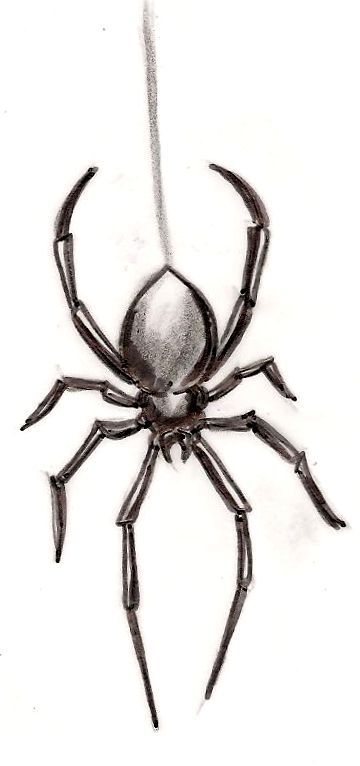 Related image Widow Spider Tattoo, Black Widow Spider Tattoo, Drawing Spider, Tattoo Spider, Spider Web Drawing, Black Widow Tattoo, Spider Drawing, Spider Web Tattoo, Web Tattoo