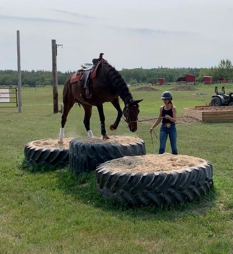 Homemade Horse Obstacles, Equine Obstacle Course Ideas, Horse Trail Course, Mountain Trail Horse Obstacles, Diy Horse Trail Course, Horse Training Obstacles, Horse Training Facility, Trail Obstacles For Horses, Diy Horse Obstacles