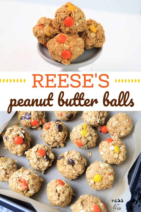 Reese Protein Balls, Reeses Protein Bites, Reese’s Protein Balls, Reeses Pieces Protein Balls, Protein Bites With Protein Powder, Reeces Pieces Peanut Butter Ball, Protein Balls With Pb2, Reeces Pieces Recipes, Reeses Pieces Dessert Recipes