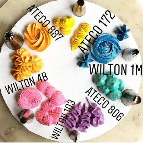 Have you tried all of these tips? Which one do you like the best? I love Wilton tips but think I need to try some Ateco tips too. Regram @thepurplecupcake_  ------------------------------ Follow  @momlovesbaking Follow #momlovesbaking ------------------------------  Like 10 posts & subscribe to my blog for awesome recipes (Link in Bio)  Tag 3 friends that would love this  Turn on post notifications to see new content ASAP ------------------------------  All rights & credits reserved to the respe Wilton 1m, Food Decorating Ideas, Wilton Tips, Decorating Frosting, Piping Techniques, Food Decorating, Frosting Tips, Cake Decorating Frosting, Cupcake Icing