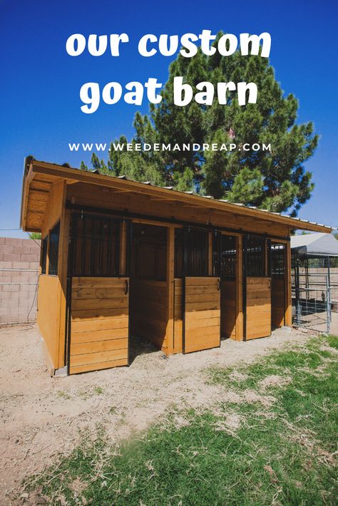 Goat Pen Ideas Pallets, Goat Lean To Shelter, Goat Barn Ideas, Small Animal Barn, Goat Pen Ideas, Goat Houses, Goat Pens, Goat Shelters, Goat Life